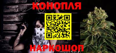 ПСИЛОЦИБИНОВЫЕ ГРИБЫ Камышлов