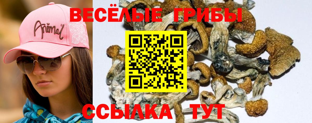 Галлюциногенные грибы GOLDEN TEACHER Феодосия